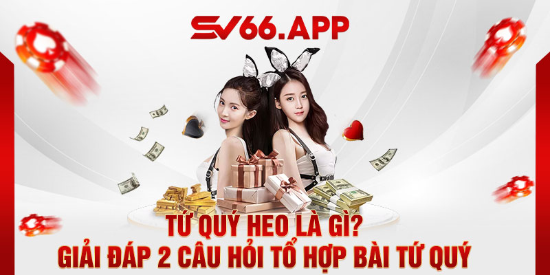 tứ quý heo là gì sv66