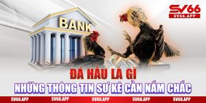 Da-hau-la-gi-nhung-thong-tin-su-ke-can-nam-chac