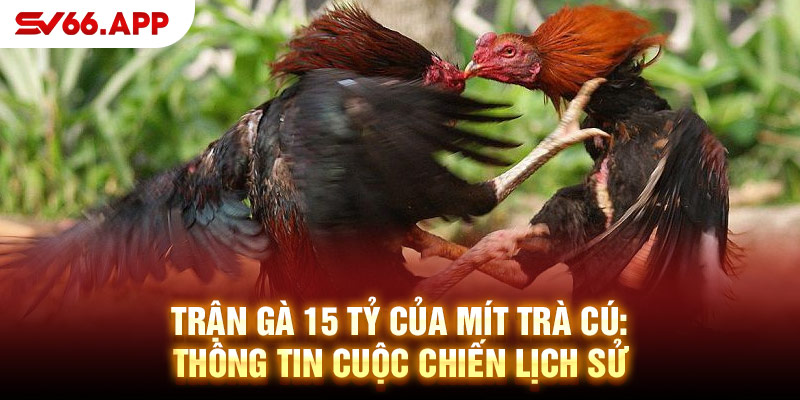 1-tran-ga-15-ty-cua-mit-tra-cu-thong-tin-cuoc-chien-lich-su