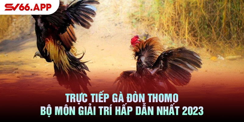 -truc-tiep-ga-don-thomo-bo-mon-giai-tri-hap-dan-nhat-2023