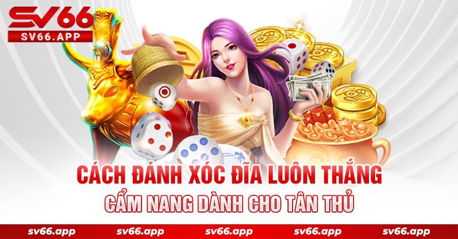 -cách-đánh-xóc-đĩa-luôn-thắng-cẩm-nang-dành-cho-tân-thủ