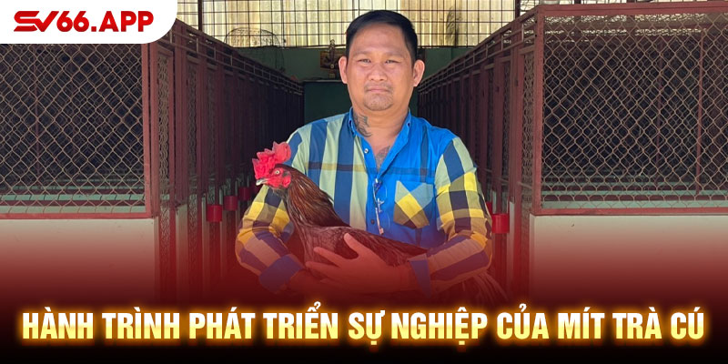 Hành trình phát triển sự nghiệp của mít trà cú