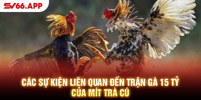 Địa điểm tổ chức trận thi đấu 