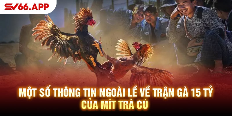 Một số thông tin ngoài lề về trận gà 15 tỷ của Mít Trà Cú 