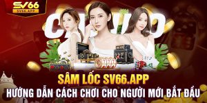 Sâm Lốc - Hướng Dẫn Cách Chơi Cho Người Mới Bắt Đầu